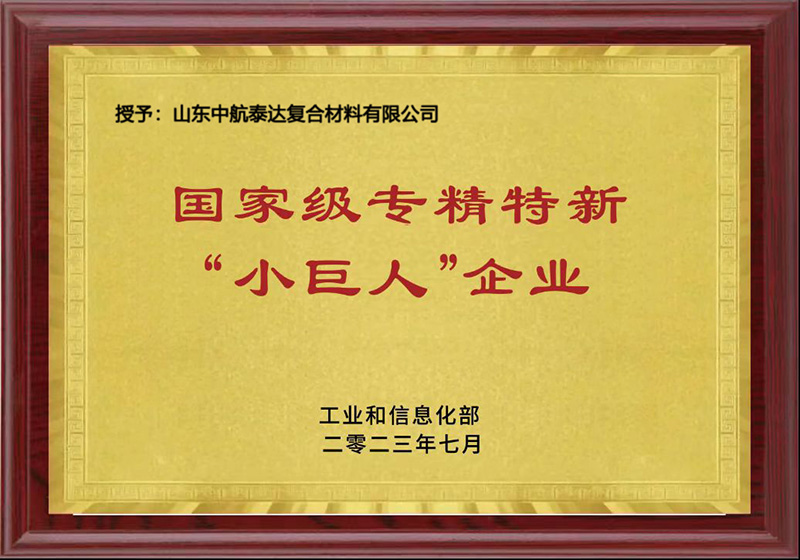 國(guó)家級(jí)小巨人